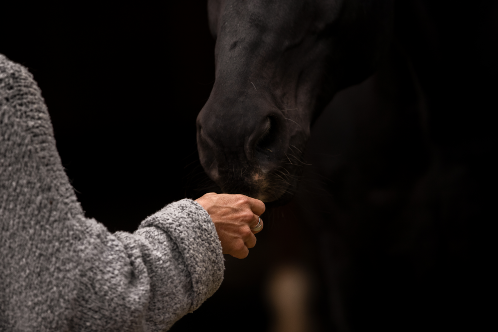 pians nüstern und hand